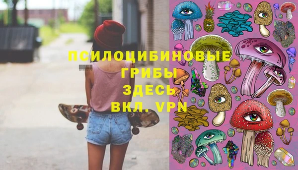 ECSTASY Белокуриха