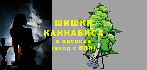 ECSTASY Белокуриха