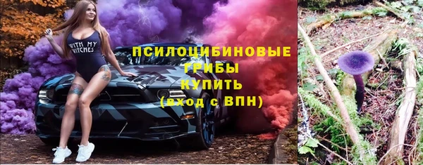 мяу мяу мука Беломорск