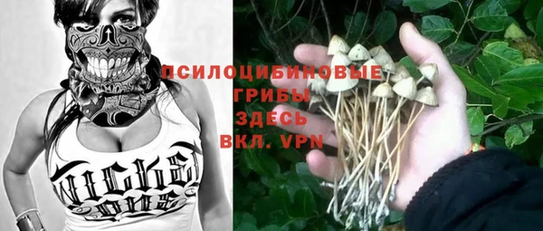 мяу мяу мука Беломорск
