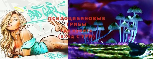 мяу мяу мука Беломорск